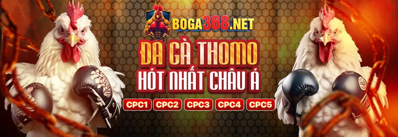Đa dạng môn thể thao daiviet88 nhà cái
