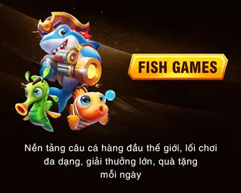Tổng quan về Điều Khoản & Điều Kiện